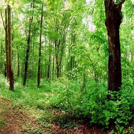 Otel Eco Complex Sherba Debelets (Varna)